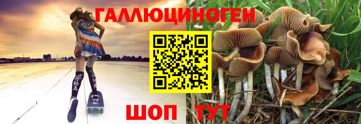 Псилоцибиновые грибы GOLDEN TEACHER  Галлюциногенные грибы Cubensis  Вход с VPN  Строитель 